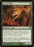 Young Wolf - Dark Ascension #134