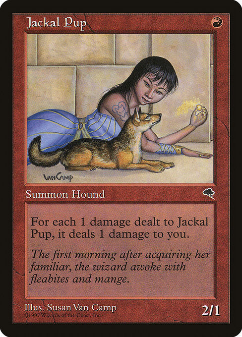 Jackal Pup - Tempest #183