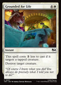 Grounded for Life Teenage Mutant Ninja Turtles Magic: The Gathering card image