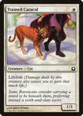 Trained Caracal - Return to Ravnica #27