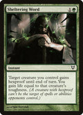 Sheltering Word Avacyn Restored Magic: The Gathering card image