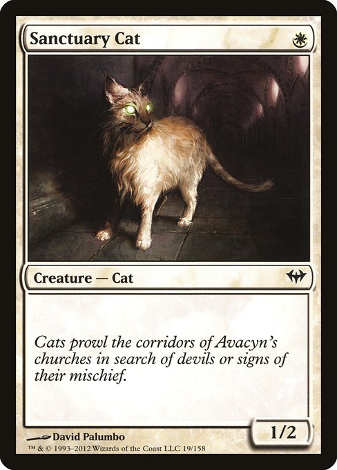 Sanctuary Cat - Dark Ascension #19 Magic: The Gathering card image