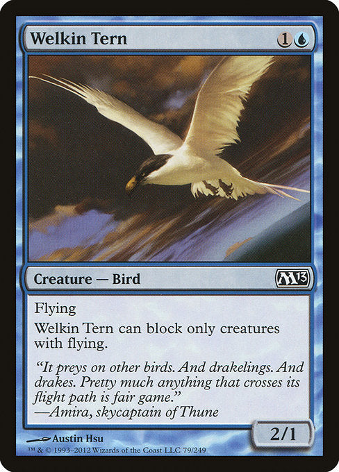Welkin Tern - Magic 2013 #79