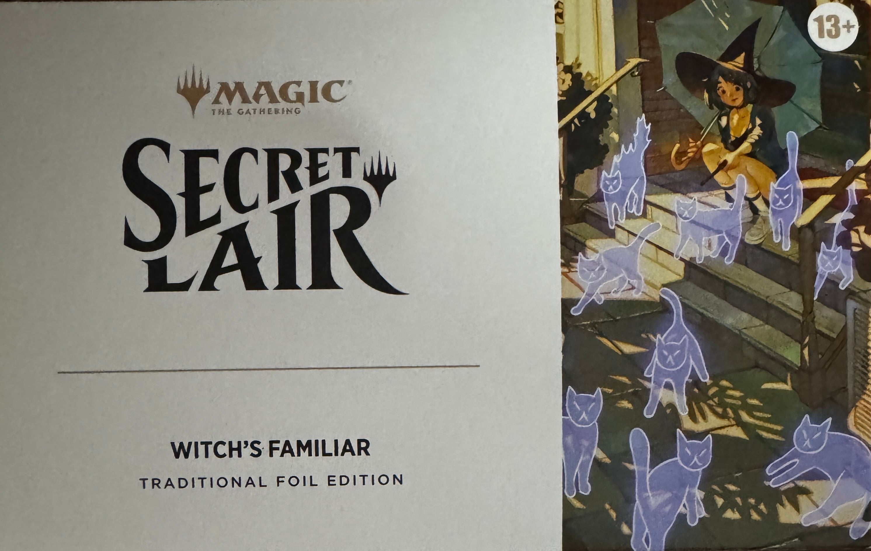 Secret Lair Drop: Witch's Familiar (Foil)