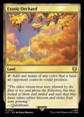 Exotic Orchard Tales of Middle-earth Commander Magic: The Gathering card image