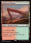 Sheltered Thicket - Edge of Eternities Commander #178