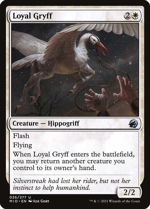 Loyal Gryff - Innistrad: Midnight Hunt #26