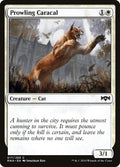 Prowling Caracal Ravnica Allegiance Magic: The Gathering card image