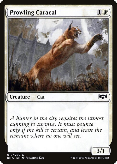 Prowling Caracal Ravnica Allegiance Magic: The Gathering card image