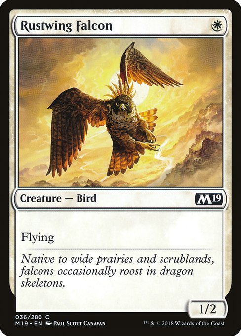 Rustwing Falcon - Core Set 2019 #36 Magic: The Gathering card image