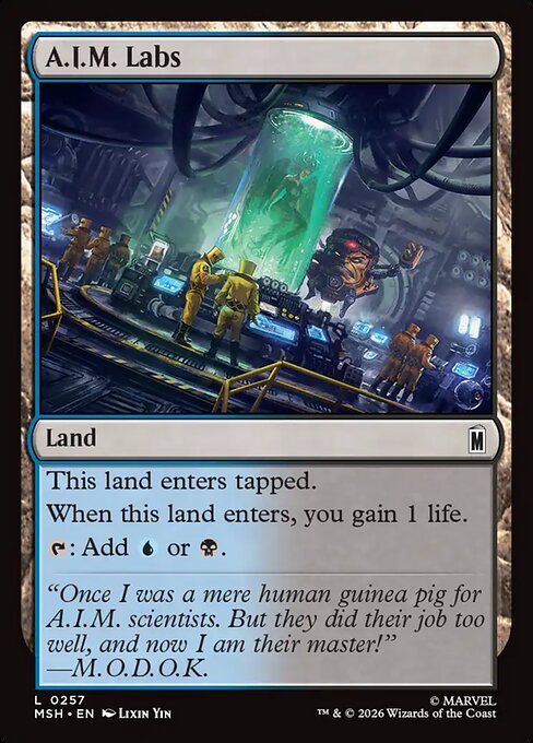 Secret Lair Drop: Toby's Journey by Gary Baseman Foil | MTG Sealed