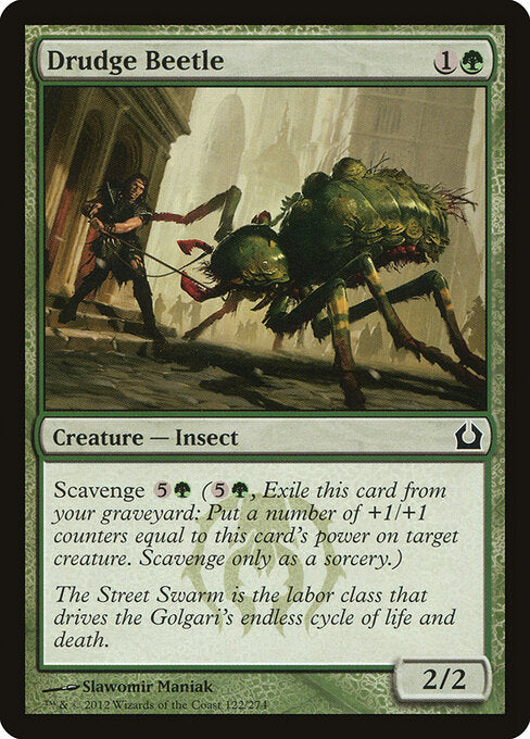 Drudge Beetle Return to Ravnica Magic: The Gathering card image
